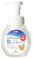 泡ハンドソープ・ポンプ式　250ml